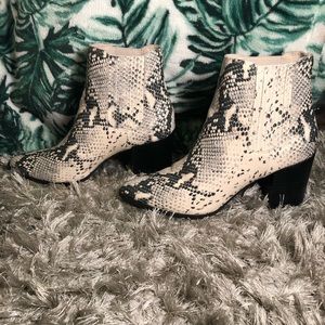 STEVE MADDEN SNAKE SKIN BOOTIES | WORN ONCE